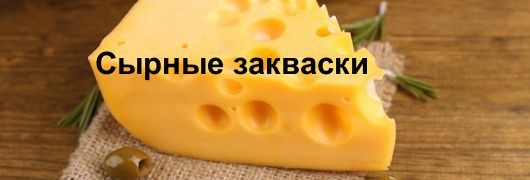 Закваска для сыра